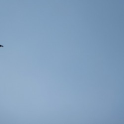 IMG 0771 - Scouts en Gidsen Zaventem 